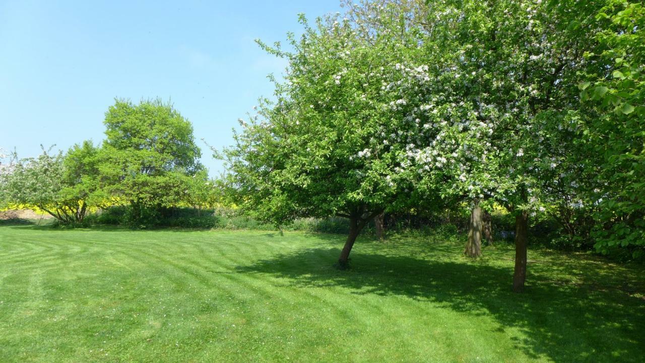 Bärenklau Villa Neustadt in Holstein Exteriör bild
